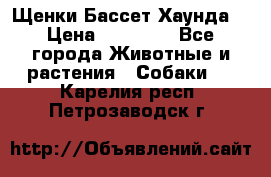 Щенки Бассет Хаунда  › Цена ­ 25 000 - Все города Животные и растения » Собаки   . Карелия респ.,Петрозаводск г.